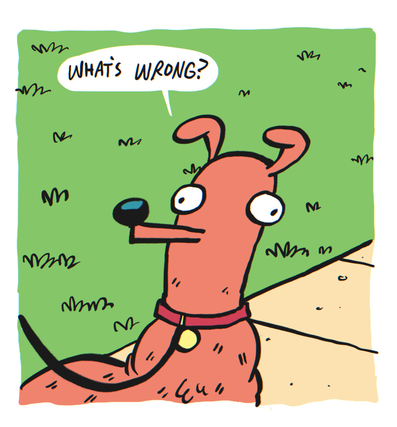 https://cdn.tinyview.com/the-other-end/2025/04/11/walk-the-dog/5.jpg