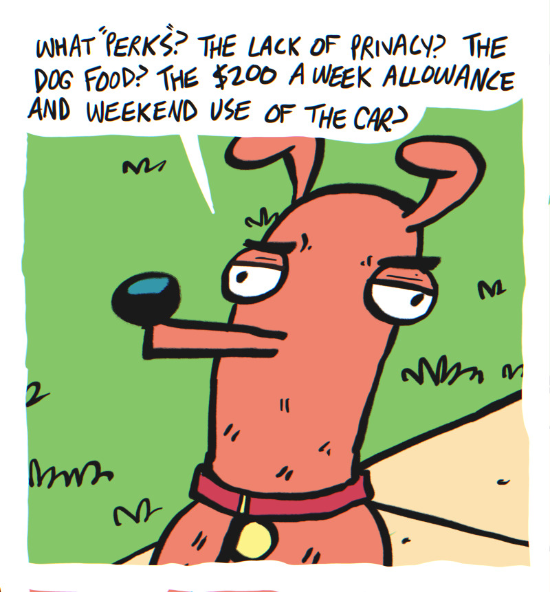 https://cdn.tinyview.com/the-other-end/2025/04/11/walk-the-dog/8.jpg