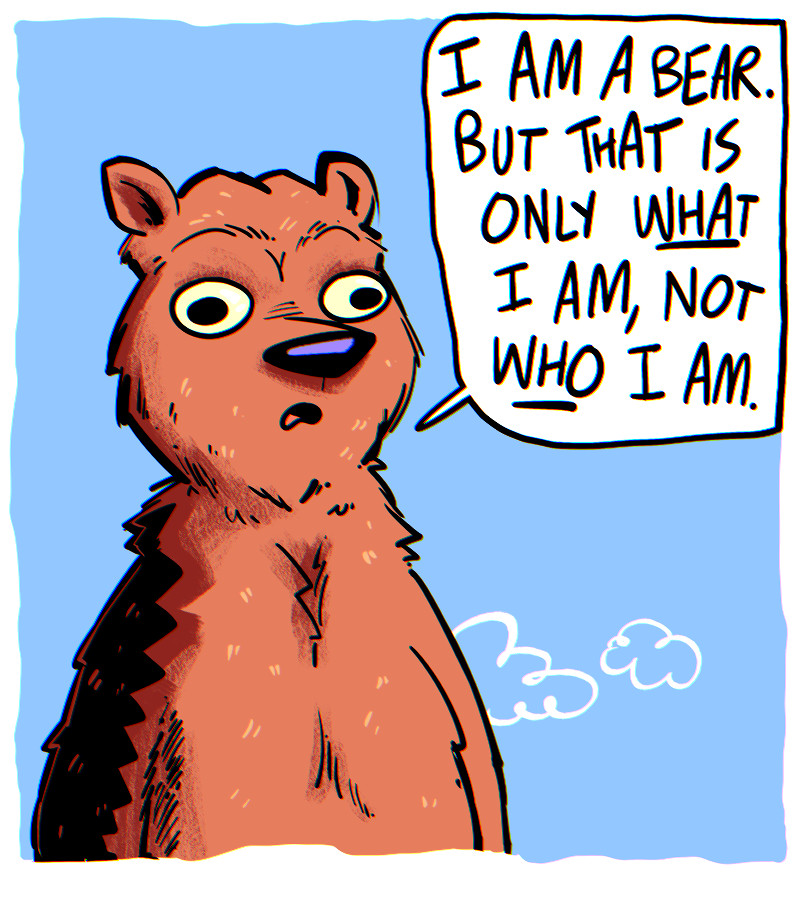 https://cdn.tinyview.com/the-other-end/2025/07/05/just-bear-things/1.jpg
