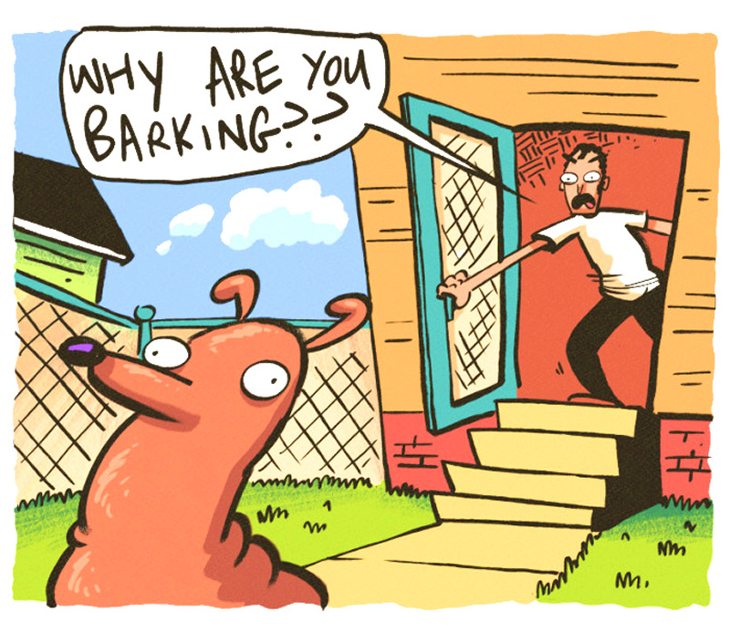 https://cdn.tinyview.com/the-other-end/2025/07/19/dog-barker/2.jpg