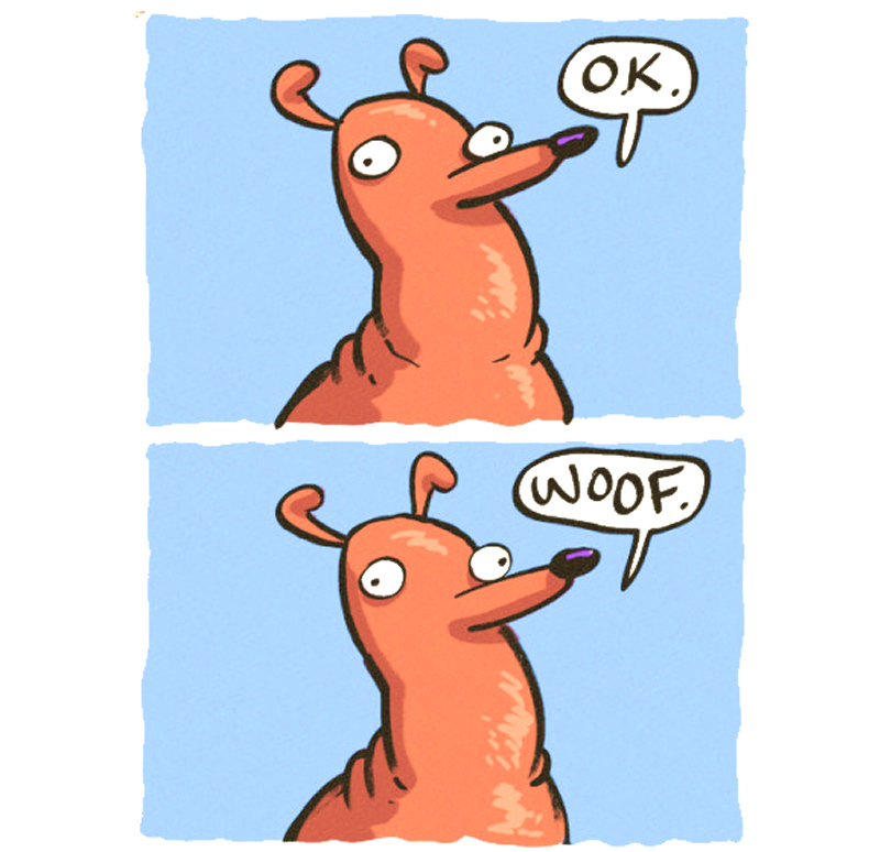 https://cdn.tinyview.com/the-other-end/2025/07/19/dog-barker/8.jpg