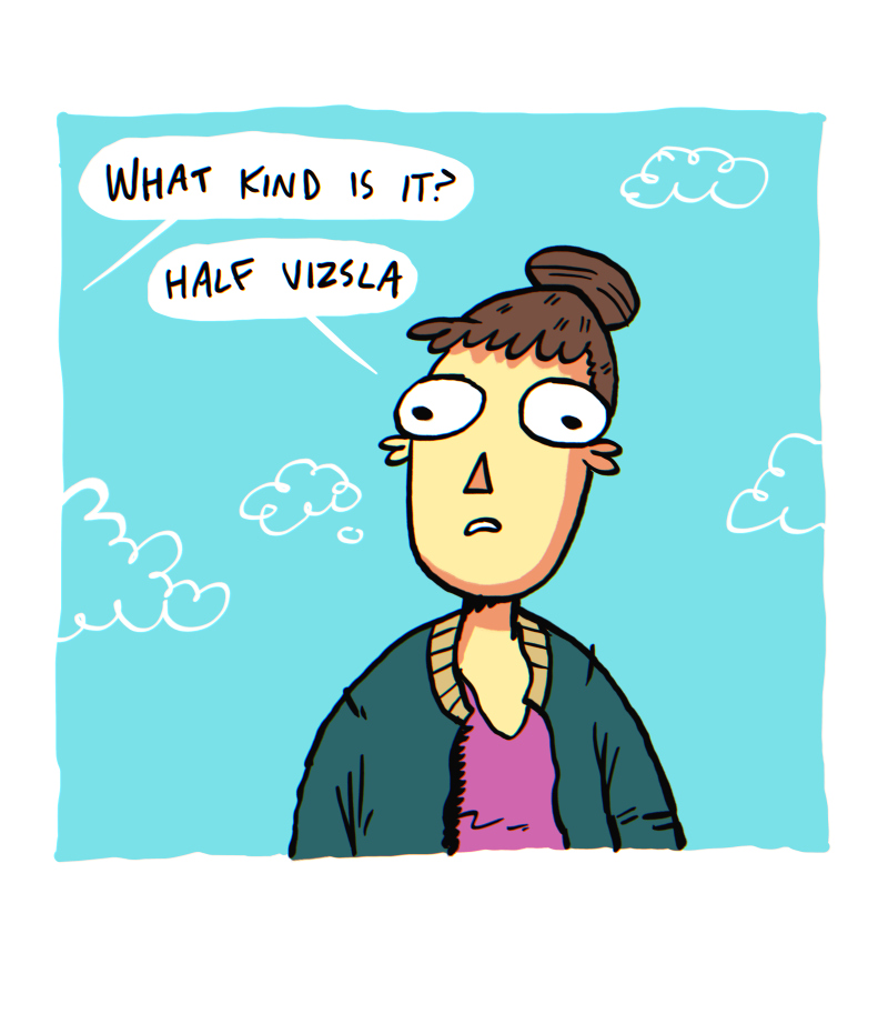 https://cdn.tinyview.com/the-other-end/2025/08/29/vizsla/2.jpg