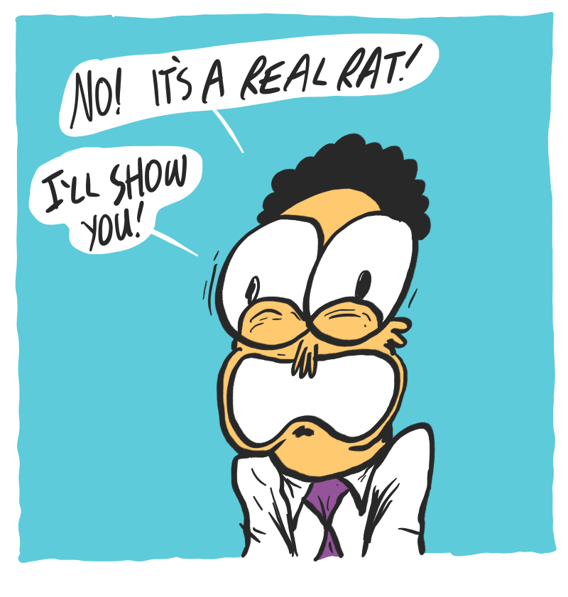 https://cdn.tinyview.com/the-other-end/2026/06/04/rat-pants/12.jpg