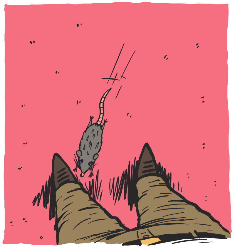 https://cdn.tinyview.com/the-other-end/2026/06/04/rat-pants/4.jpg