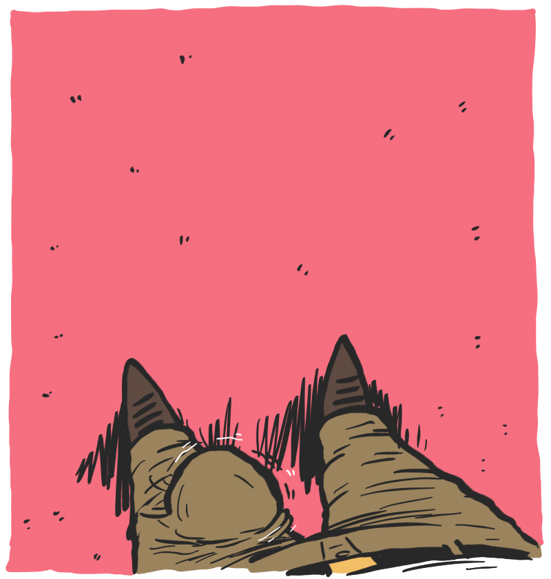 https://cdn.tinyview.com/the-other-end/2026/06/04/rat-pants/6.jpg