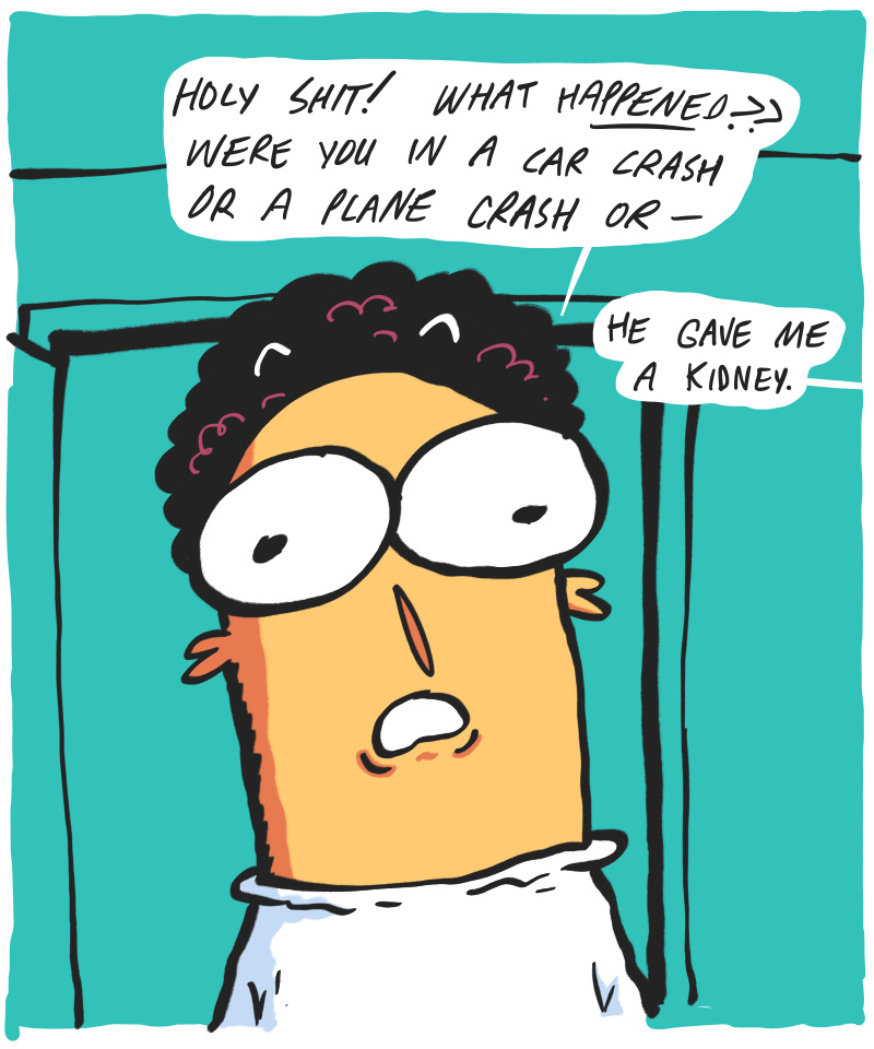 https://cdn.tinyview.com/the-other-end/2026/07/09/kidneys/10.jpg