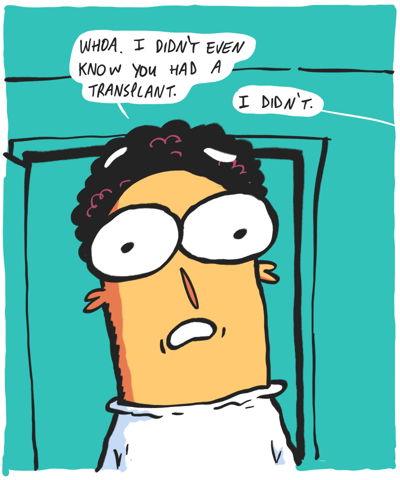 https://cdn.tinyview.com/the-other-end/2026/07/09/kidneys/12.jpg