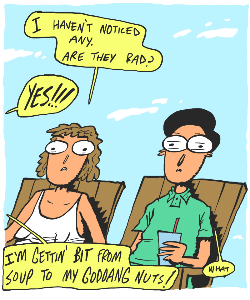 https://cdn.tinyview.com/the-other-end/2026/07/15/skeeters/2.jpg
