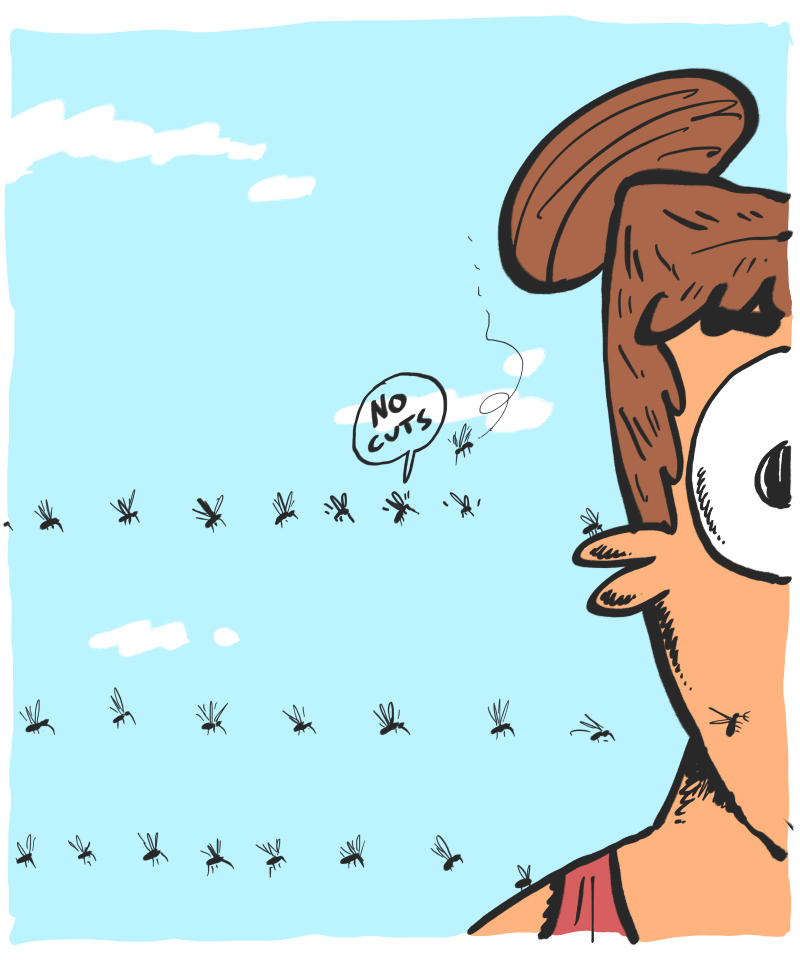 https://cdn.tinyview.com/the-other-end/2026/07/15/skeeters/4.jpg