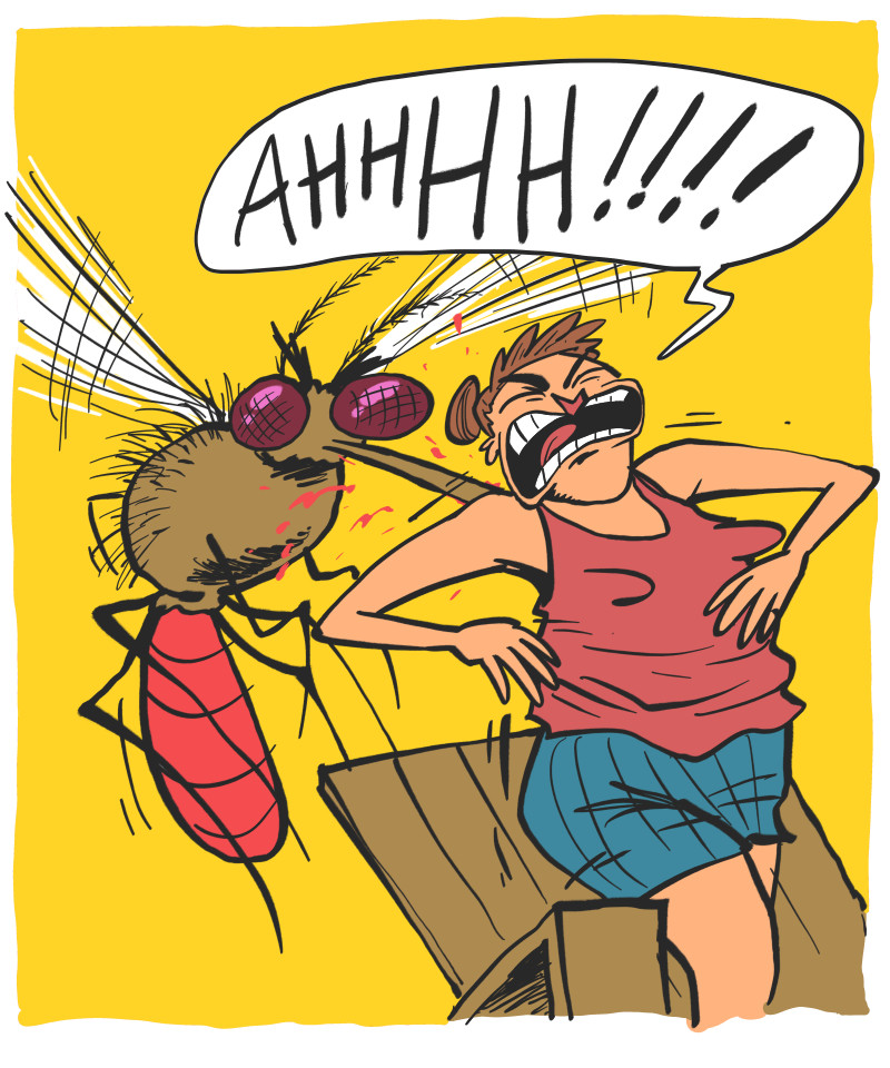https://cdn.tinyview.com/the-other-end/2026/07/15/skeeters/6.jpg