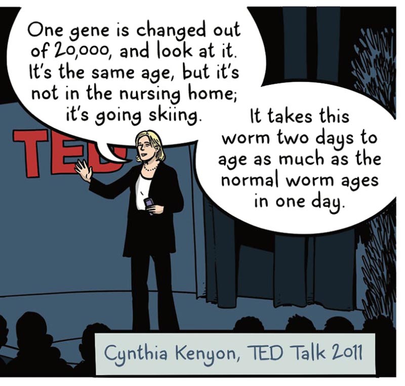 https://cdn.tinyview.com/thenib/2021/11/10/who-wants-to-live-forever/who-wants-to-live-forever-006-dd7.jpg