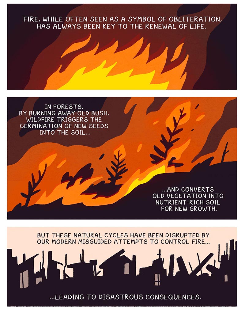 https://cdn.tinyview.com/thenib/2022/05/20/prescribed-burn/X1.jpg