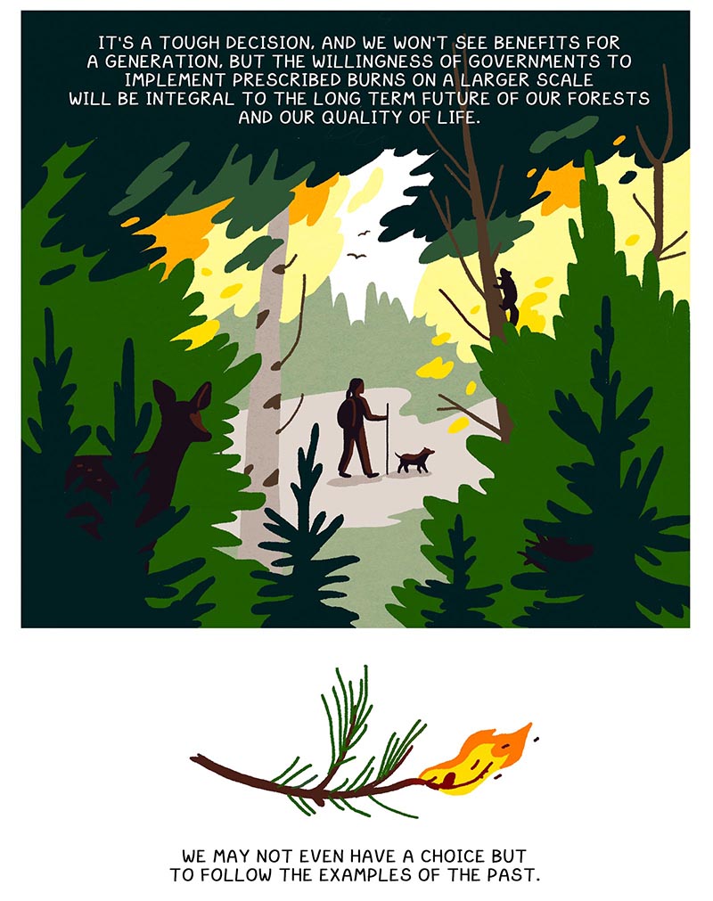 https://cdn.tinyview.com/thenib/2022/05/20/prescribed-burn/X11.jpg