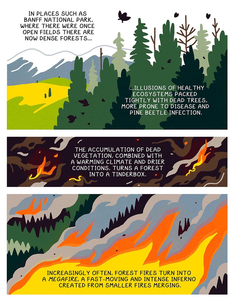 https://cdn.tinyview.com/thenib/2022/05/20/prescribed-burn/X7.jpg