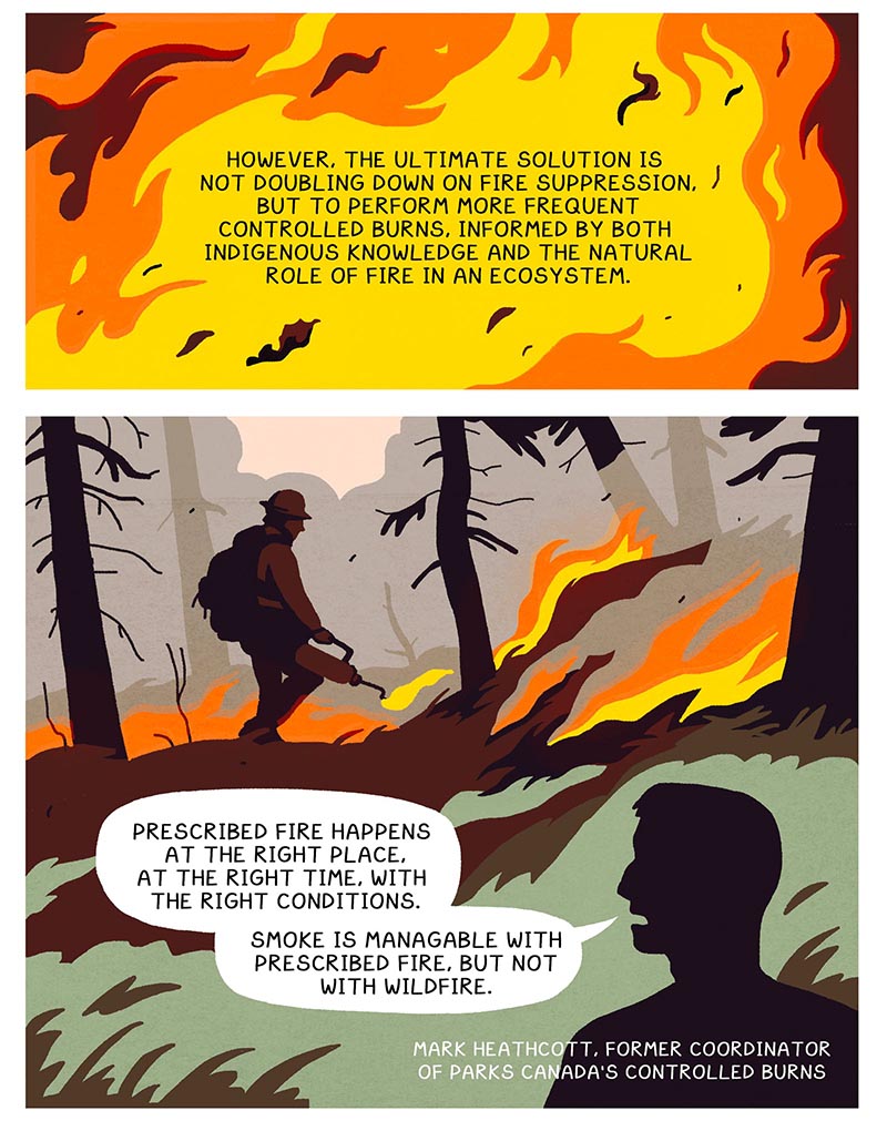 https://cdn.tinyview.com/thenib/2022/05/20/prescribed-burn/X9.jpg