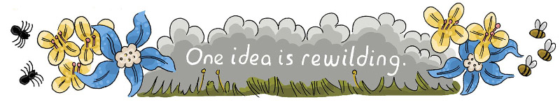 https://cdn.tinyview.com/thenib/2022/07/14/back-to-the-land/rewilding-003-2c0.jpeg