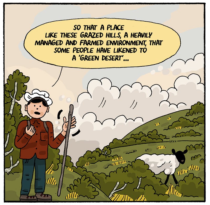 https://cdn.tinyview.com/thenib/2022/07/14/back-to-the-land/rewilding-005-7dc.jpeg