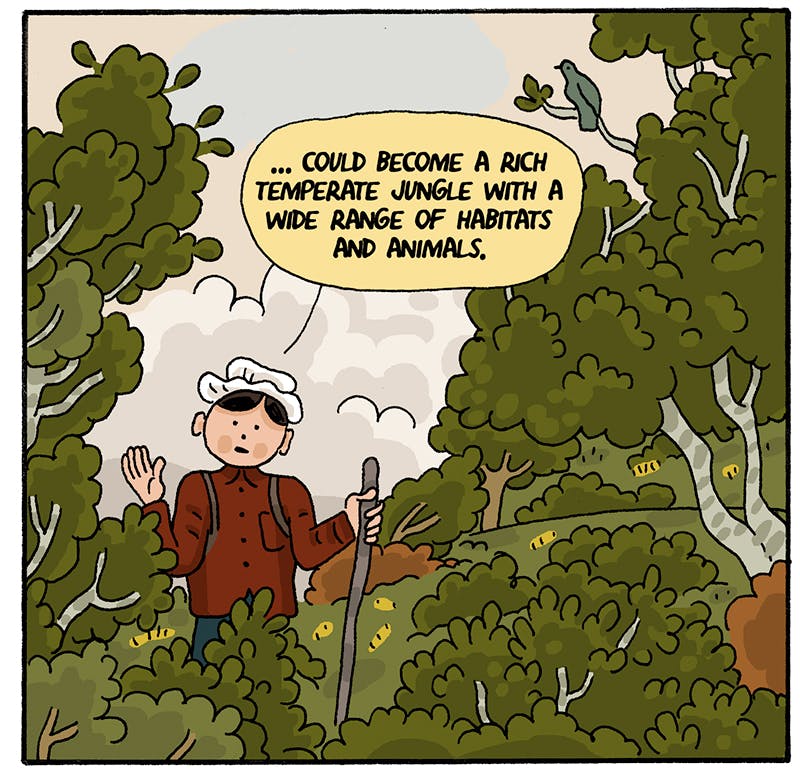 https://cdn.tinyview.com/thenib/2022/07/14/back-to-the-land/rewilding-006-a3e.jpeg