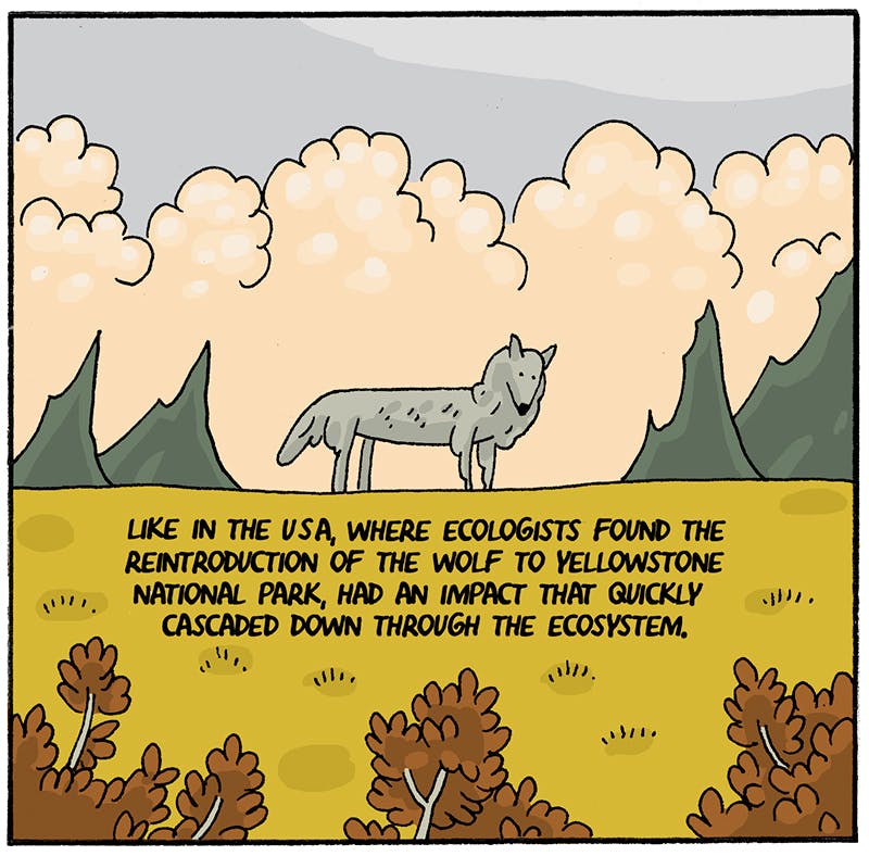https://cdn.tinyview.com/thenib/2022/07/14/back-to-the-land/rewilding-007-fbf.jpeg