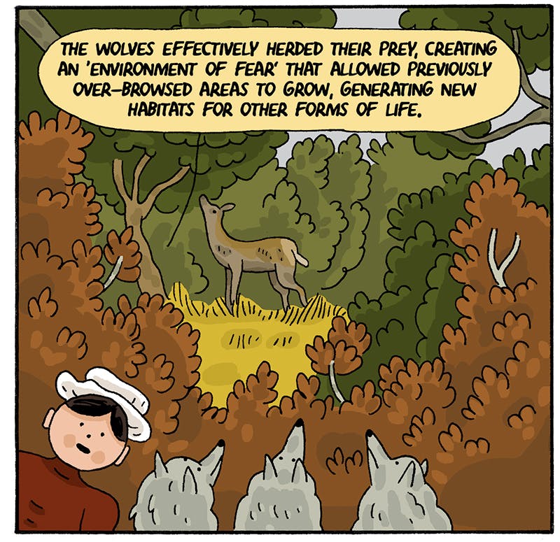 https://cdn.tinyview.com/thenib/2022/07/14/back-to-the-land/rewilding-008-482.jpeg
