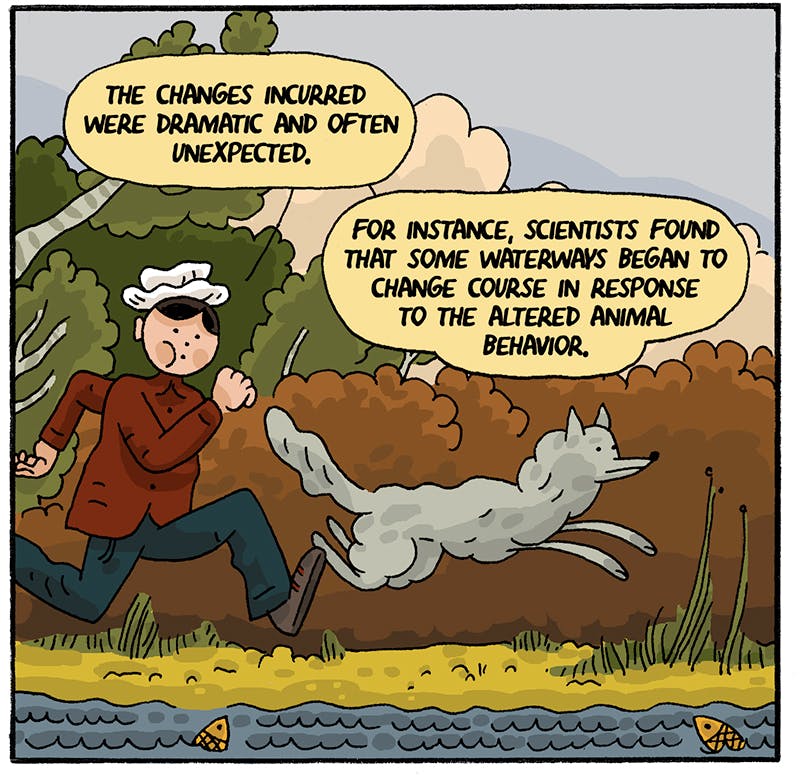 https://cdn.tinyview.com/thenib/2022/07/14/back-to-the-land/rewilding-009-218.jpeg