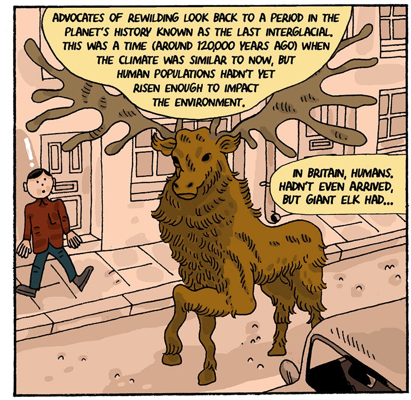 https://cdn.tinyview.com/thenib/2022/07/14/back-to-the-land/rewilding-14-582.jpeg
