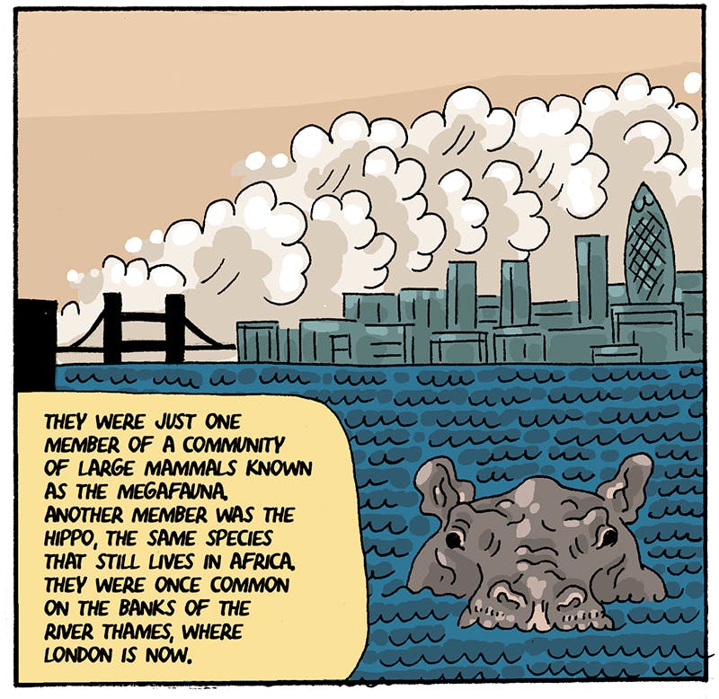https://cdn.tinyview.com/thenib/2022/07/14/back-to-the-land/rewilding-15-212.jpeg
