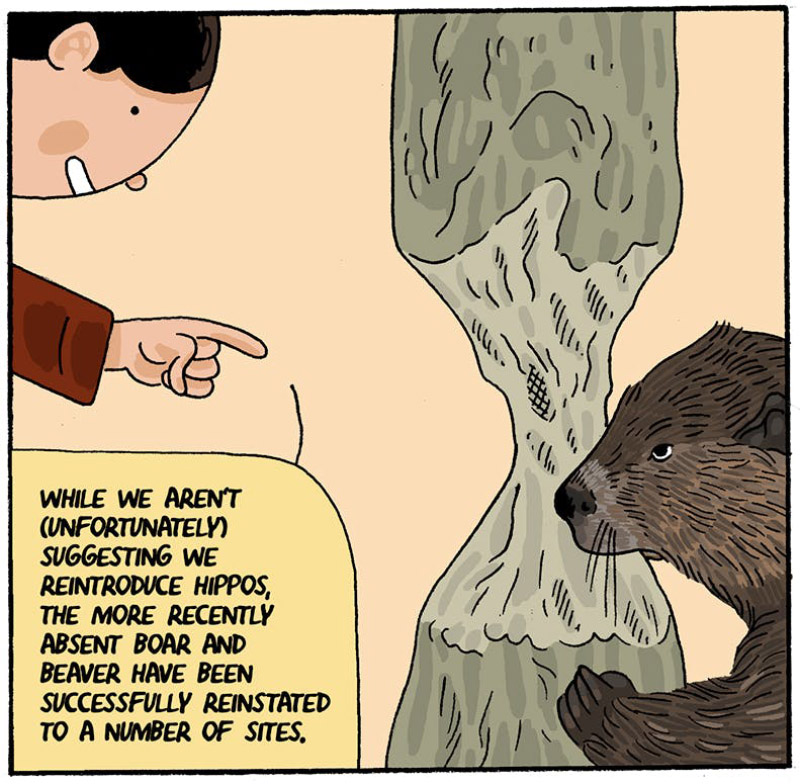 https://cdn.tinyview.com/thenib/2022/07/14/back-to-the-land/rewilding-17-6cd.jpeg