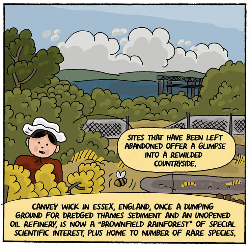 https://cdn.tinyview.com/thenib/2022/07/14/back-to-the-land/rewilding-19-fb5.jpg