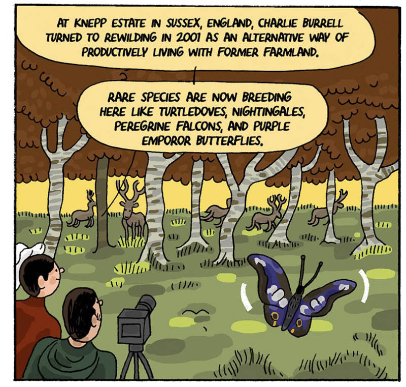 https://cdn.tinyview.com/thenib/2022/07/14/back-to-the-land/rewilding-20-c84.jpg