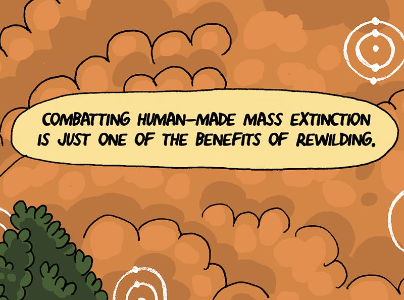 https://cdn.tinyview.com/thenib/2022/07/14/back-to-the-land/rewilding-23-8a1.jpeg