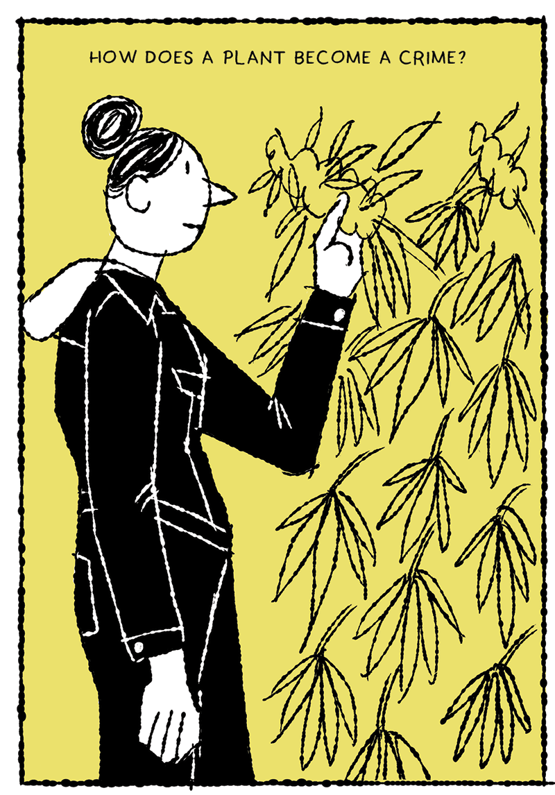 https://cdn.tinyview.com/thenib/2022/07/26/the-pot-to-prison-pipeline/YR1-1.png