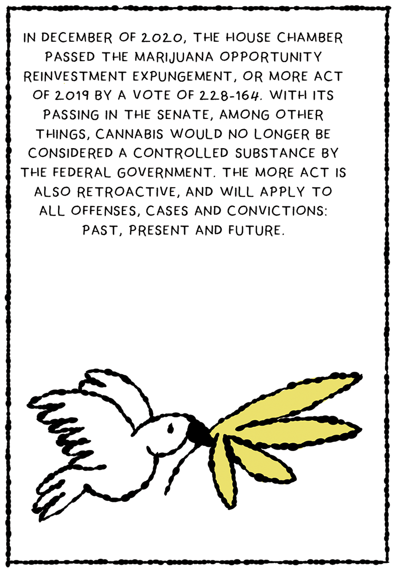 https://cdn.tinyview.com/thenib/2022/07/26/the-pot-to-prison-pipeline/YR36.png