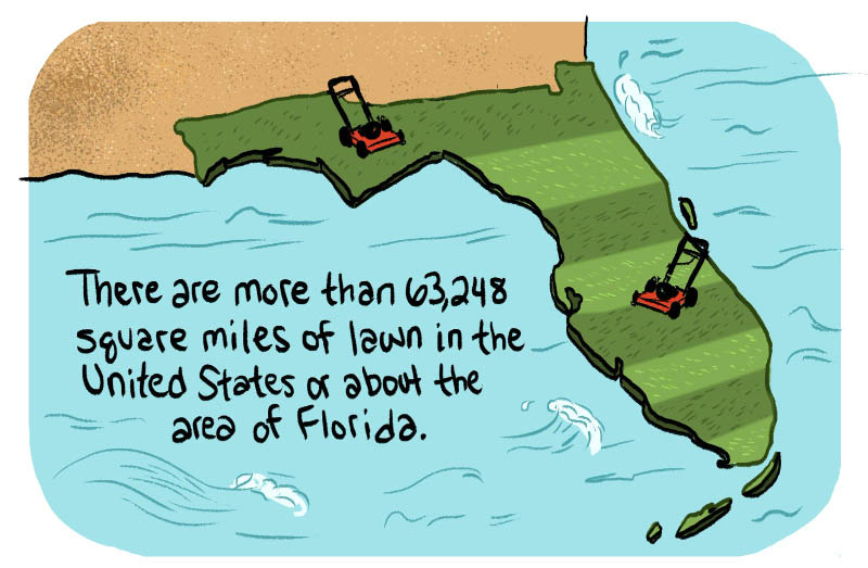 https://cdn.tinyview.com/thenib/2022/08/09/let-your-lawn-go-brown/hate-mowing-your-lawn-good-don-t-do-it-002-e3e.jpg