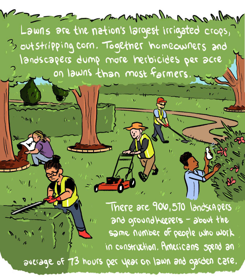 https://cdn.tinyview.com/thenib/2022/08/09/let-your-lawn-go-brown/hate-mowing-your-lawn-good-don-t-do-it-004-0f1.jpg