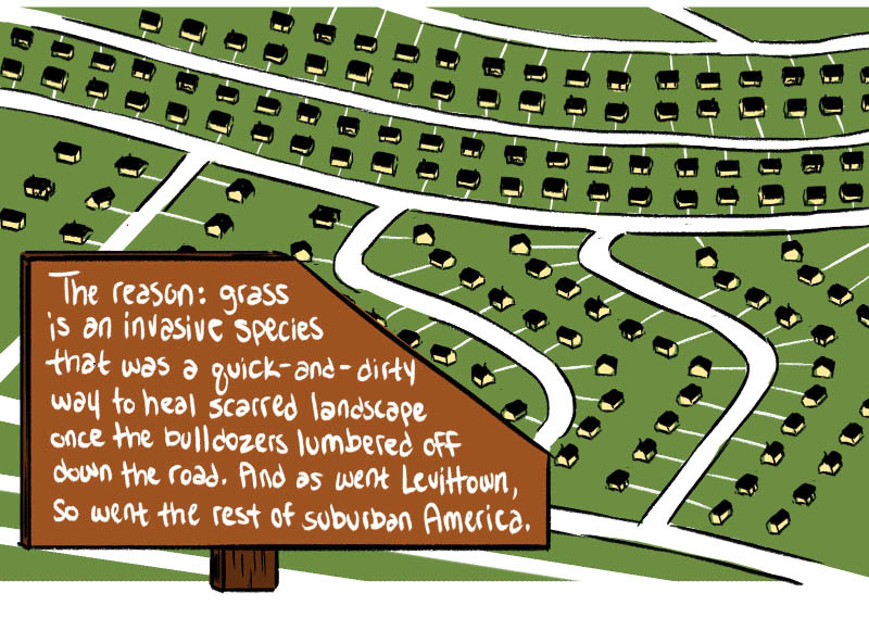 https://cdn.tinyview.com/thenib/2022/08/09/let-your-lawn-go-brown/hate-mowing-your-lawn-good-don-t-do-it-007-ff1.jpg