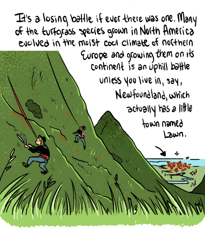 https://cdn.tinyview.com/thenib/2022/08/09/let-your-lawn-go-brown/hate-mowing-your-lawn-good-don-t-do-it-009-47c.jpg
