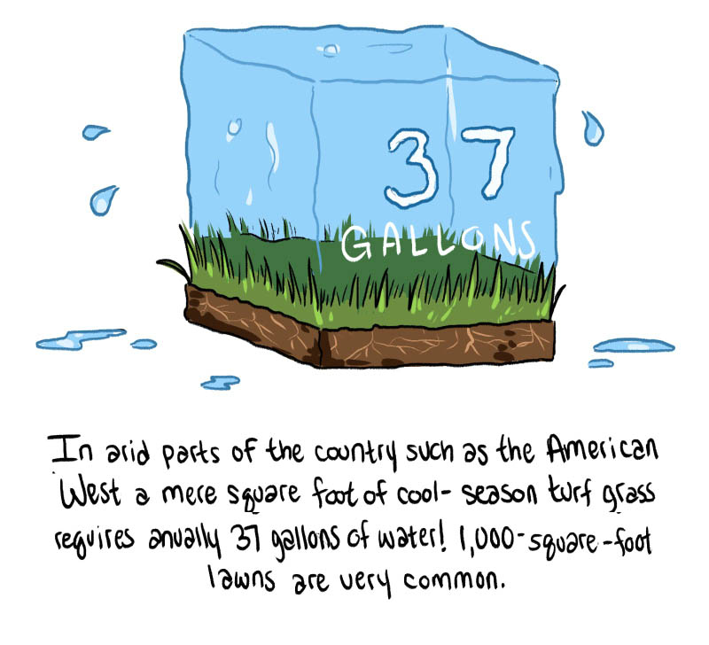 https://cdn.tinyview.com/thenib/2022/08/09/let-your-lawn-go-brown/hate-mowing-your-lawn-good-don-t-do-it-14-37d.jpg