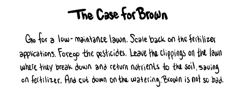 https://cdn.tinyview.com/thenib/2022/08/09/let-your-lawn-go-brown/hate-mowing-your-lawn-good-don-t-do-it-15-72c.jpg