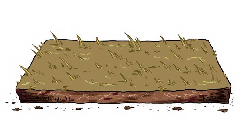 https://cdn.tinyview.com/thenib/2022/08/09/let-your-lawn-go-brown/hate-mowing-your-lawn-good-don-t-do-it-16-9ab-1536x864.jpg