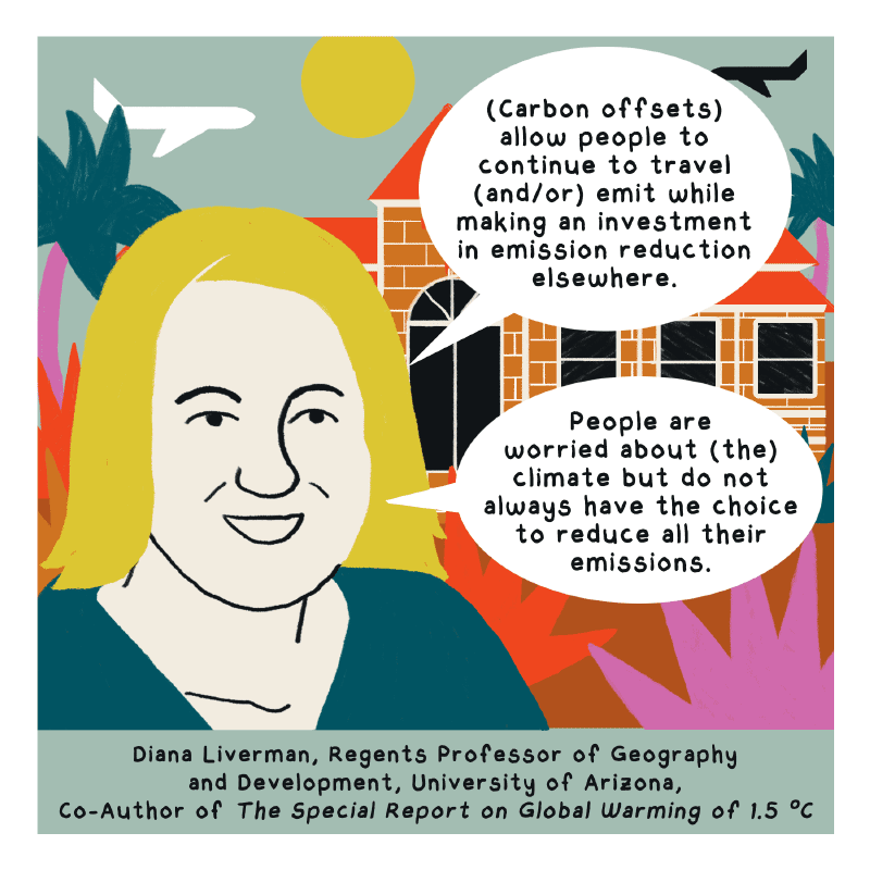 https://cdn.tinyview.com/thenib/2022/09/12/are-your-carbon-offsets-doing-anything/carbon07-1.png