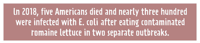 https://cdn.tinyview.com/thenib/2022/10/03/food-used-to-be-a-lot-more-dangerous/food-used-to-be-a-lot-more-dangerous-history-of-the-fda-001-4a8.jpg