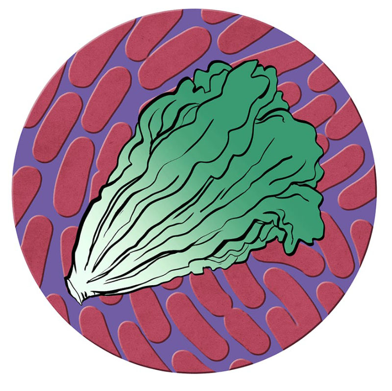 https://cdn.tinyview.com/thenib/2022/10/03/food-used-to-be-a-lot-more-dangerous/food-used-to-be-a-lot-more-dangerous-history-of-the-fda-002-fa6.jpg