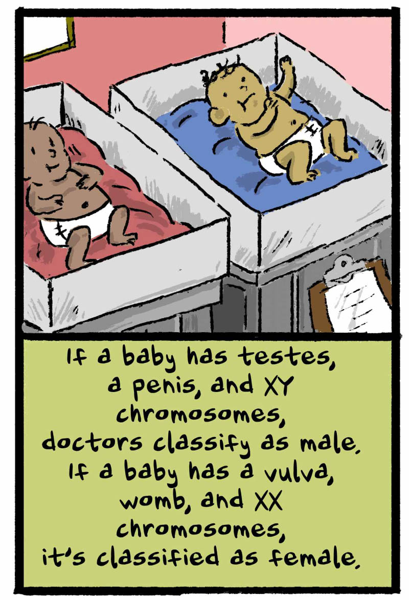 https://cdn.tinyview.com/thenib/2022/11/22/gender-isnt-binary-and-neither-is-anatomy/gender-isn-t-binary-and-neither-is-anatomy-13-b55-1396x2048.jpg