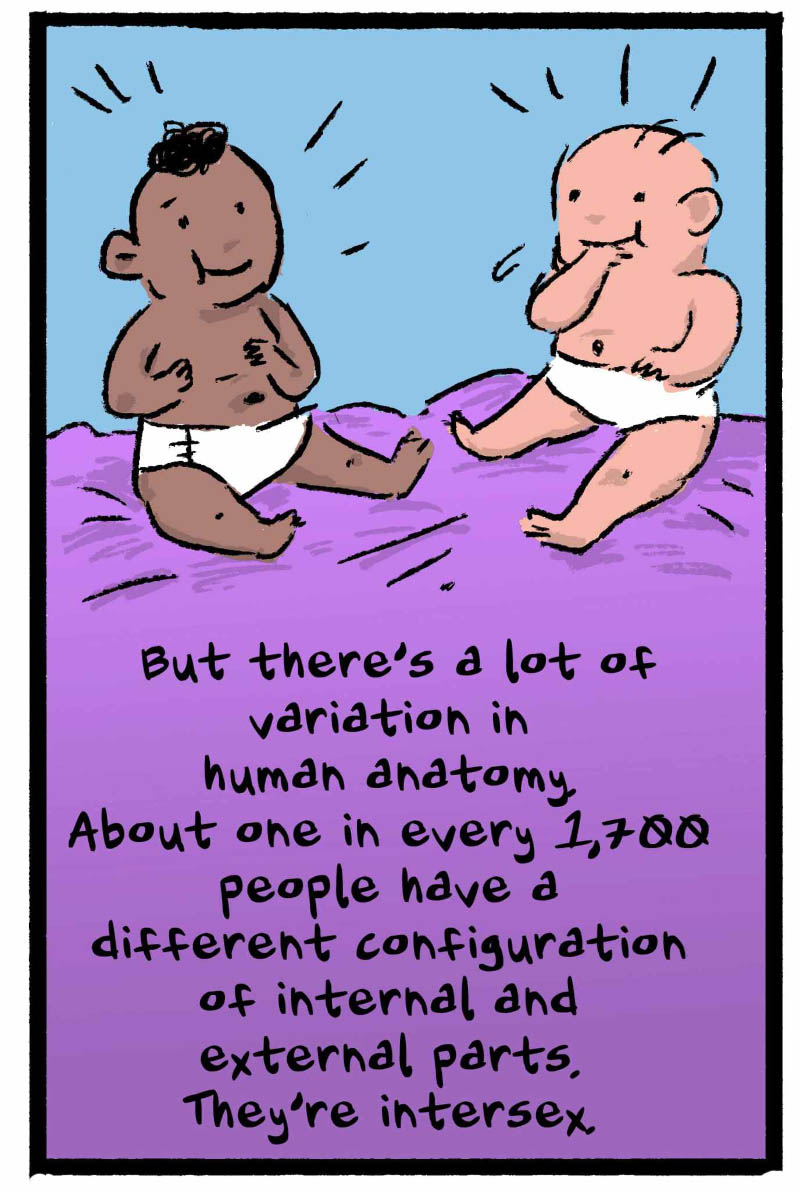 https://cdn.tinyview.com/thenib/2022/11/22/gender-isnt-binary-and-neither-is-anatomy/gender-isn-t-binary-and-neither-is-anatomy-14-8d8-1376x2048.jpg