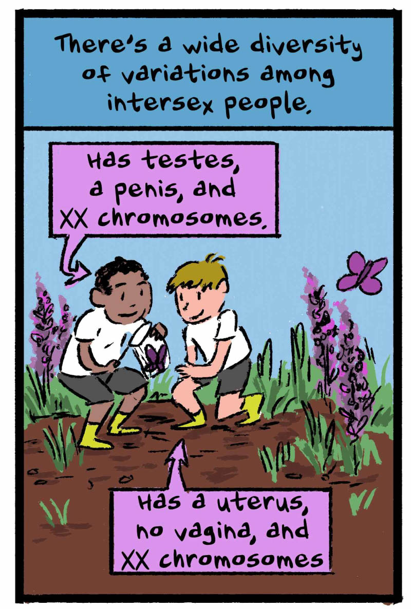 https://cdn.tinyview.com/thenib/2022/11/22/gender-isnt-binary-and-neither-is-anatomy/gender-isn-t-binary-and-neither-is-anatomy-15-fde-1400x2073.jpg