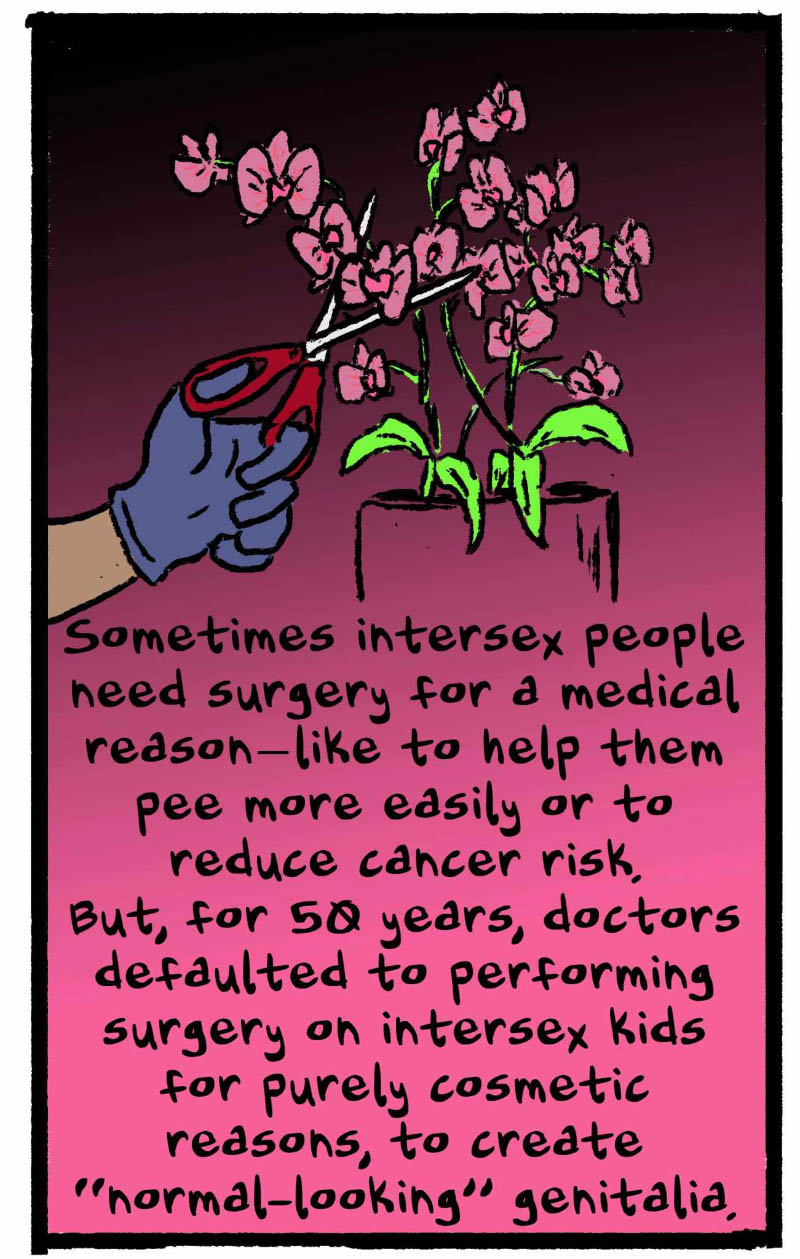 https://cdn.tinyview.com/thenib/2022/11/22/gender-isnt-binary-and-neither-is-anatomy/gender-isn-t-binary-and-neither-is-anatomy-16-593-1301x2048.jpg