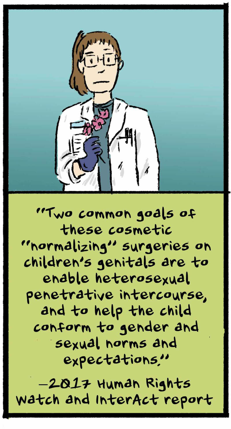 https://cdn.tinyview.com/thenib/2022/11/22/gender-isnt-binary-and-neither-is-anatomy/gender-isn-t-binary-and-neither-is-anatomy-17-c29-1200x2231.jpg