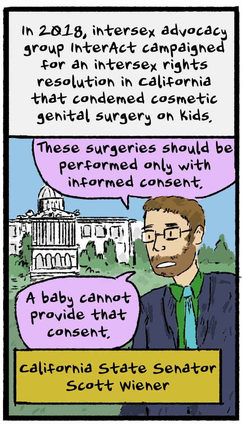 https://cdn.tinyview.com/thenib/2022/11/22/gender-isnt-binary-and-neither-is-anatomy/gender-isn-t-binary-and-neither-is-anatomy-19-7bc-1170x2048.jpg