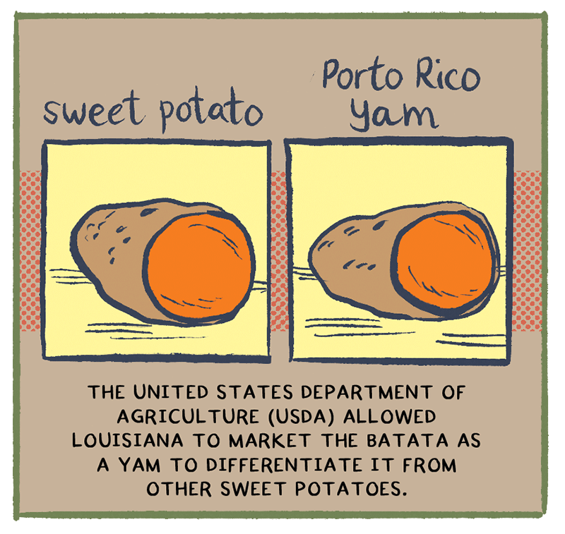 https://cdn.tinyview.com/thenib/2022/12/13/bittersweet-harvest/RCG10.png